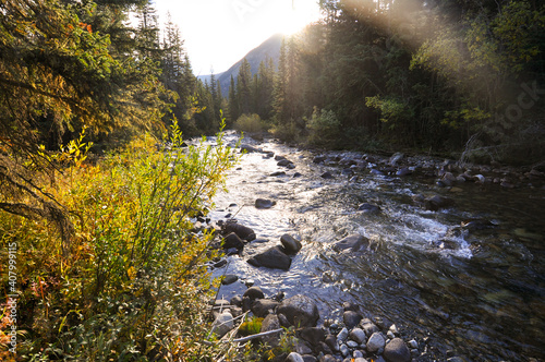 фотографія fall colors along a mountain river