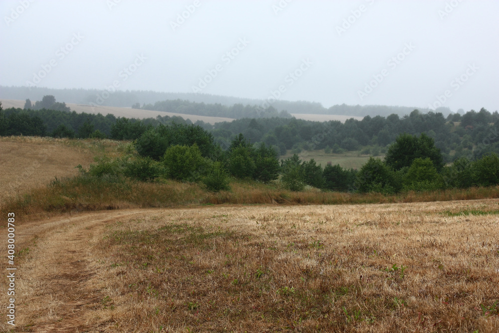 Foggy summer morning. Hilly area. In the foreground the cleaned fields are visible. On a distance shot picturesque green coppices are visible.