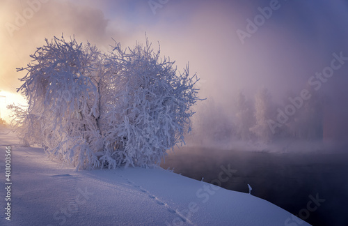 Winter morning at Reftinsky reservoir with snow-covered forest and river, Russia, Ural in January photo