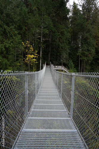 Suspension Bridge Explore
