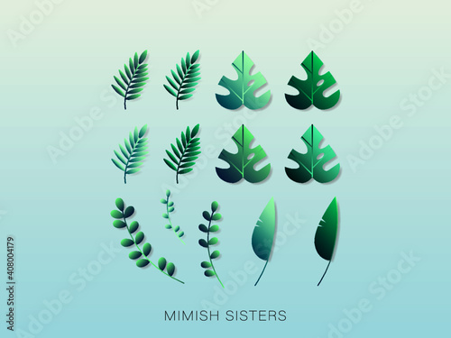 自然豊かな森林の植物