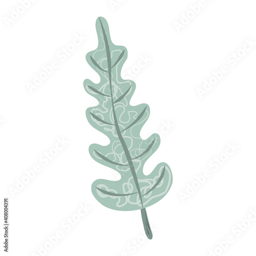tropical leaf foliage botany natural icon flat design