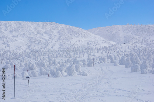 冬の蔵王山 © KUZUMISAWA