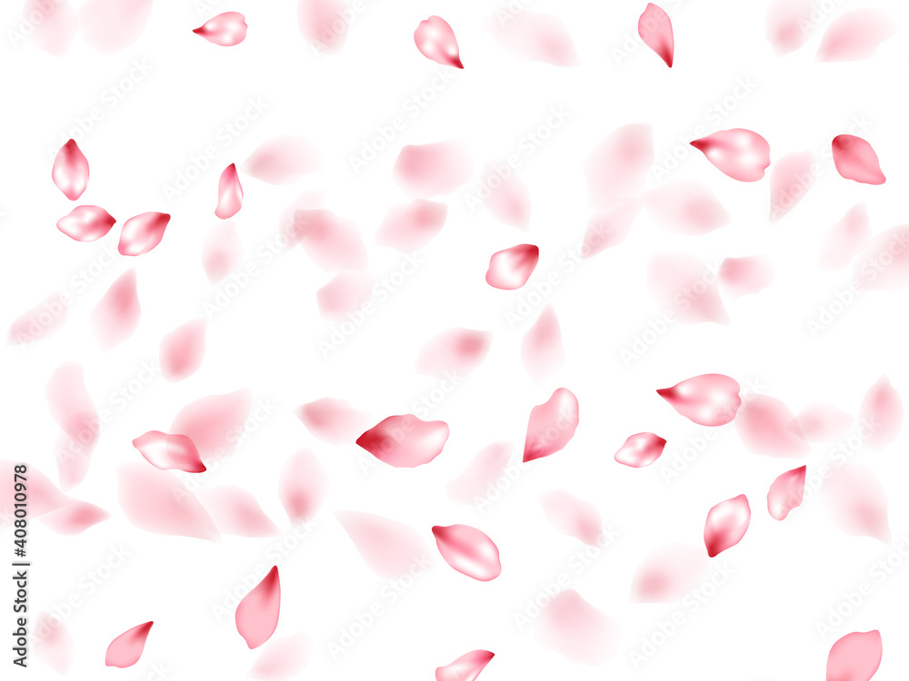 Pink sakura flower flying petals isolated on white vector background.