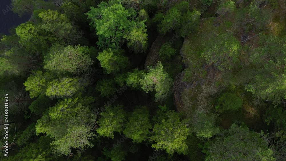 Lake and rocky coast. Coniferous forest. Summer, aerial view