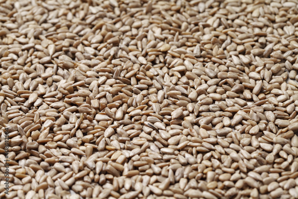 sunflower seeds on rustic background sunflower seeds on rustic background