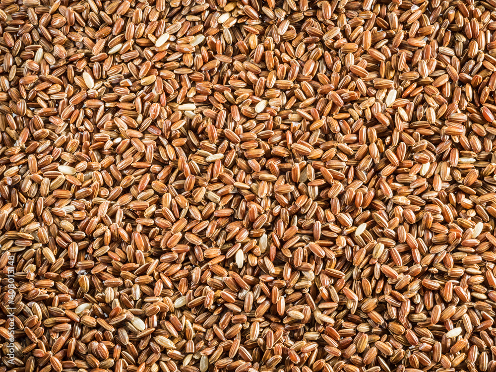 Brown rice - whole grain rice with outer hull or husk. Close-up. Brown rice - whole grain rice with outer hull or husk. Close-up.