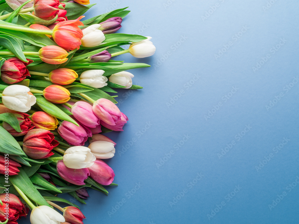 Colorful tulip bouquet on blue background. Colorful tulip bouquet on blue background.