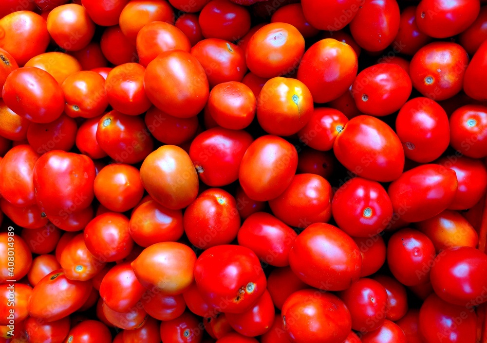 A basket full of The Red Tomatoes, It is the edible berry of the plant Solanum Lycopersicum, commonly known as a tomato plant. A basket full of The Red Tomatoes, It is the edible berry of the plant Solanum Lycopersicum, commonly known as a tomato plant.