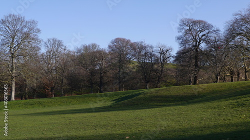 Trees and Grass in English Park in Winter