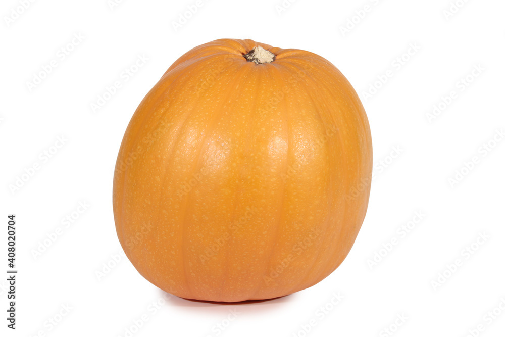 Large pumpkin on a white background. Isolated object Large pumpkin on a white background. Isolated object