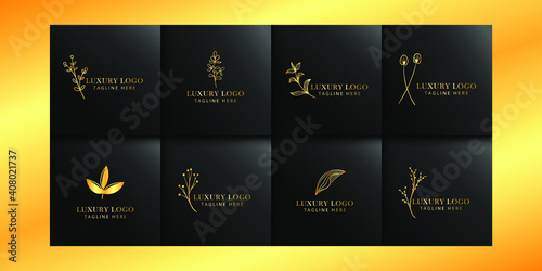 luxury floral logo collections with gold and black