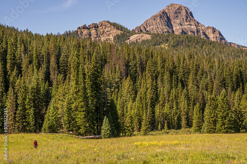 view of yellowstone mountains