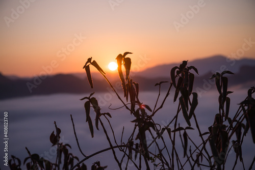 Beautiful sunrise morning with mist on the top of mountain at Ban Jabo Maehongson  northern Thailand. Travel nature concept.