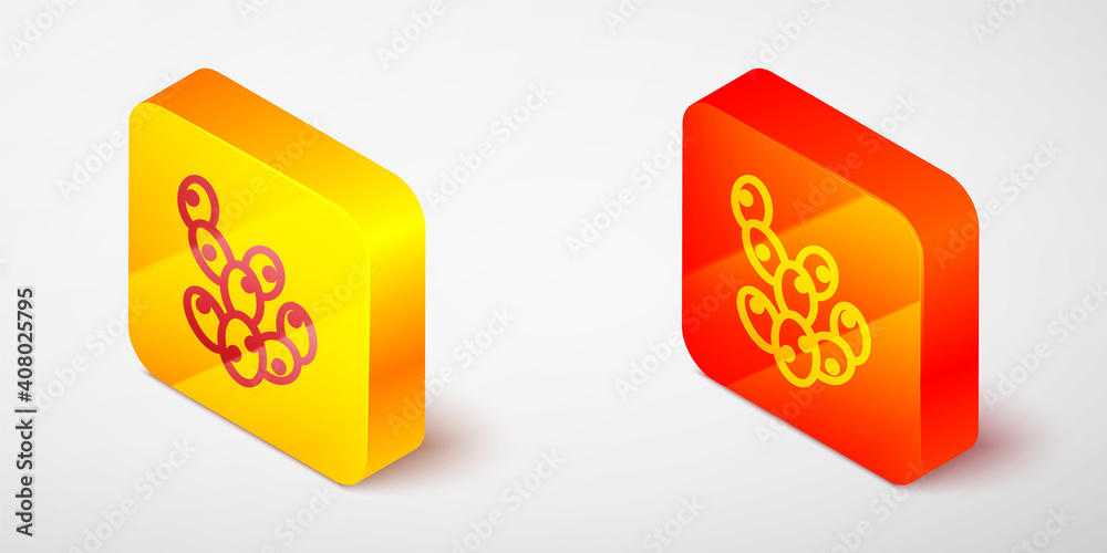 Isometric line Cactus icon isolated on grey background. Yellow and orange square button. Vector. Isometric line Cactus icon isolated on grey background. Yellow and orange square button. Vector.