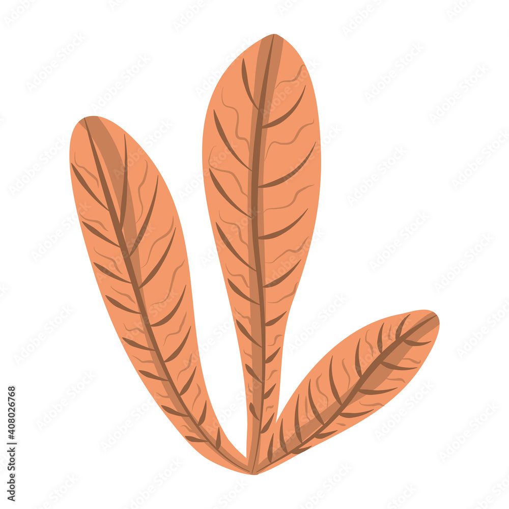 tropical leaf foliage plant icon flat design tropical leaf foliage plant icon flat design