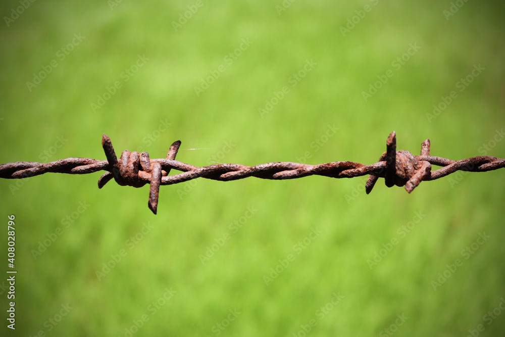 Old metal barbed wire against a blurred green background Old metal barbed wire against a blurred green background