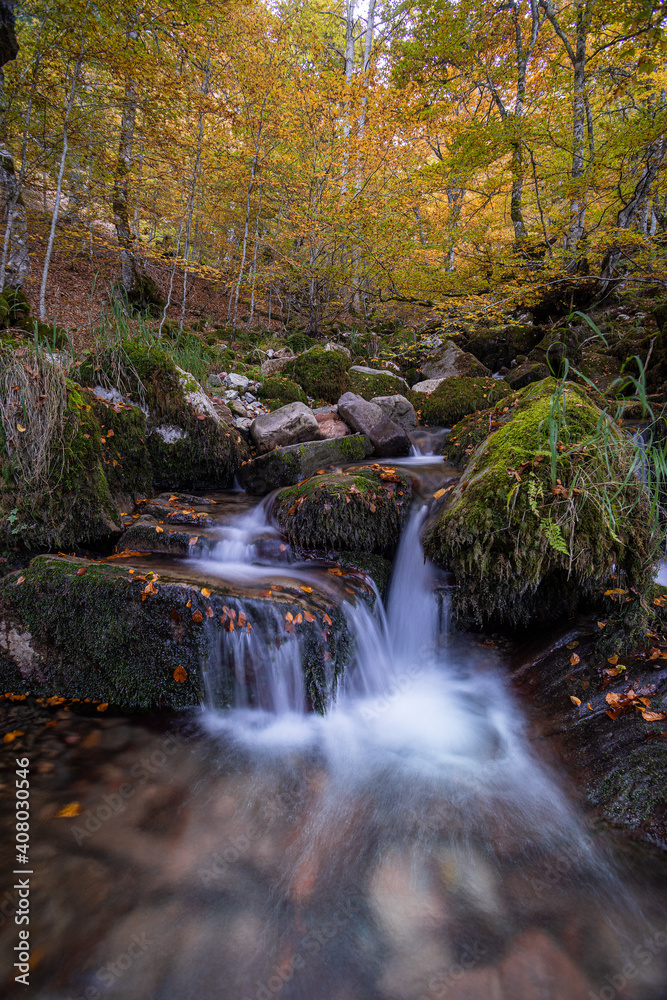 El otoño en el arroyo y en el hayedo