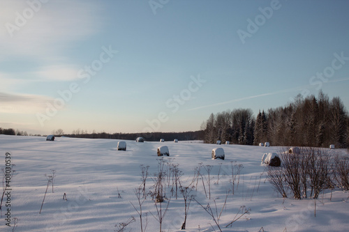 Haystacks on the field in winter. A snow-covered field with haystacks. Snow fields.