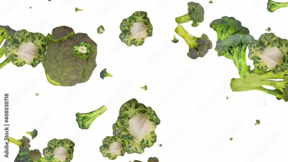animated pattern of broccoli on a white background. many small images of cabbage. drop revolving down changing size. the concept of fresh harvest, healthy food, diet. vegetables animated pattern of broccoli on a white background. many small images of cabbage. drop revolving down changing size. the concept of fresh harvest, healthy food, diet. vegetables