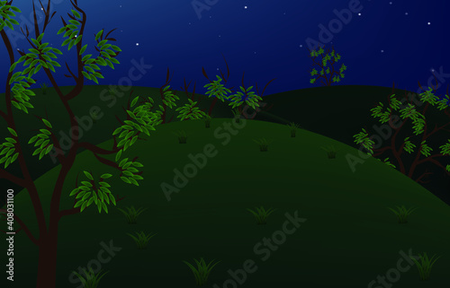 night spring landscape