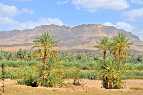 Morocco - Draa Valley, oasis on Sahara desert