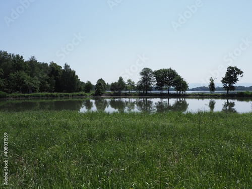 Lakeside area of breeding pond in Goczalkowice town in Poland