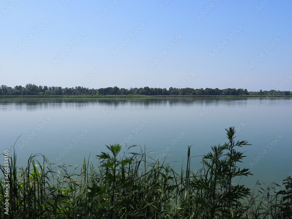 Plants and landscape of breeding pond in Goczalkowice town in Poland Plants and landscape of breeding pond in Goczalkowice town in Poland