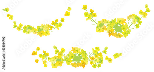 水彩風　菜の花イラスト素材