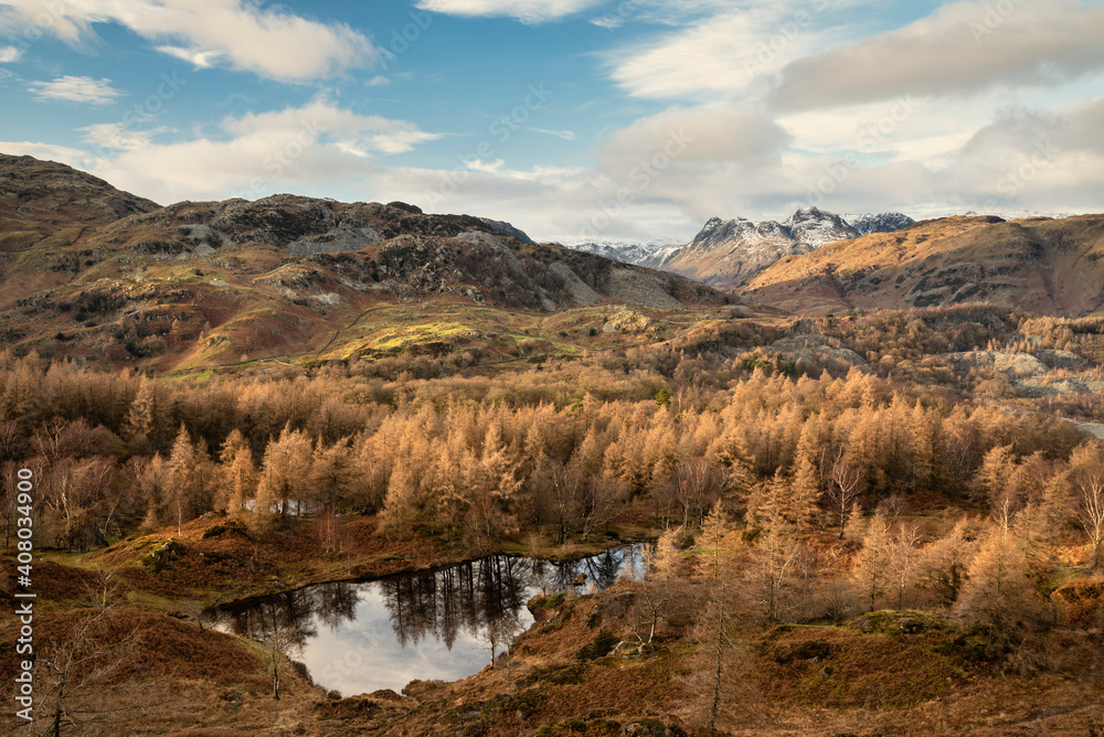 Majestic Winter landscape image view from Holme Fell in Lake District towards snow capped mountain ranges in distance in glorious evening light with Autumnal colors trees Majestic Winter landscape image view from Holme Fell in Lake District towards snow capped mountain ranges in distance in glorious evening light with Autumnal colors trees