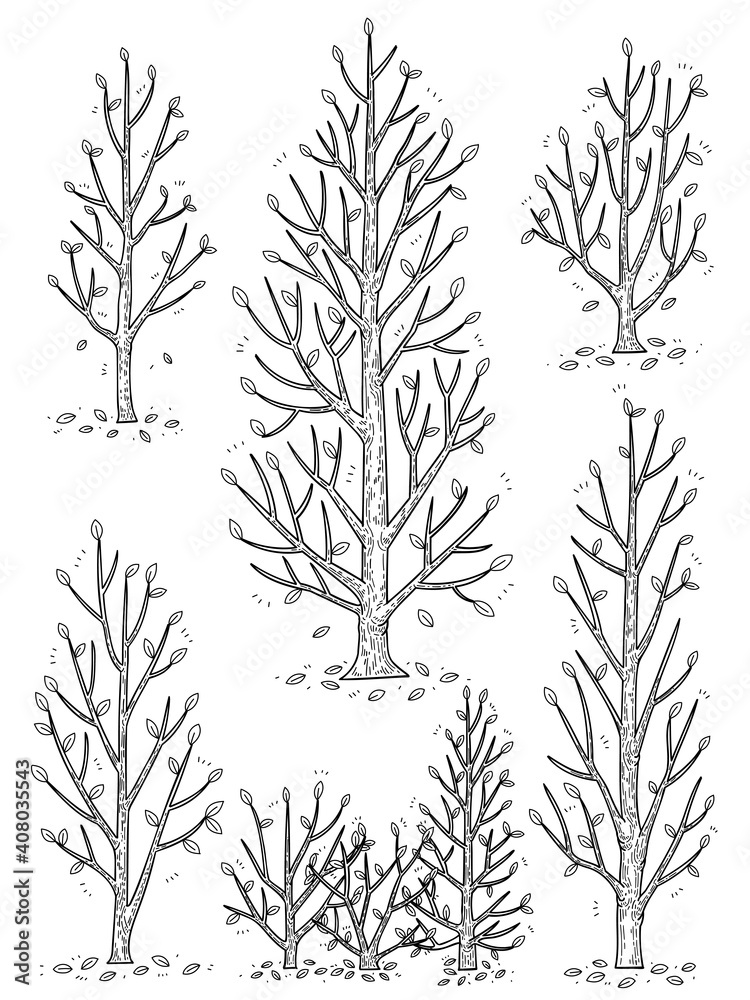 hand drawn side view tree vector set.