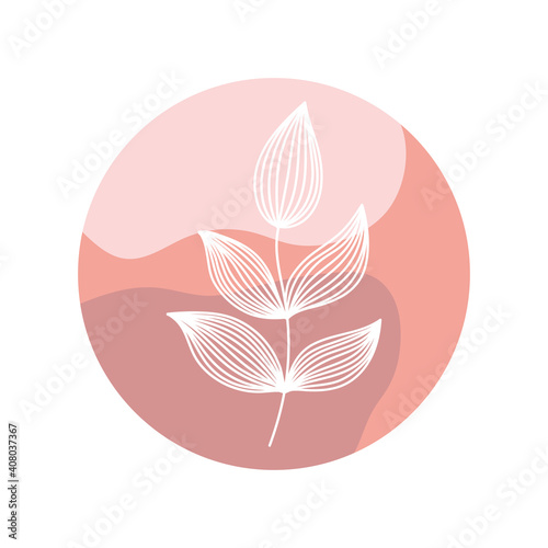 highlight cover abstract floral plant botanical
