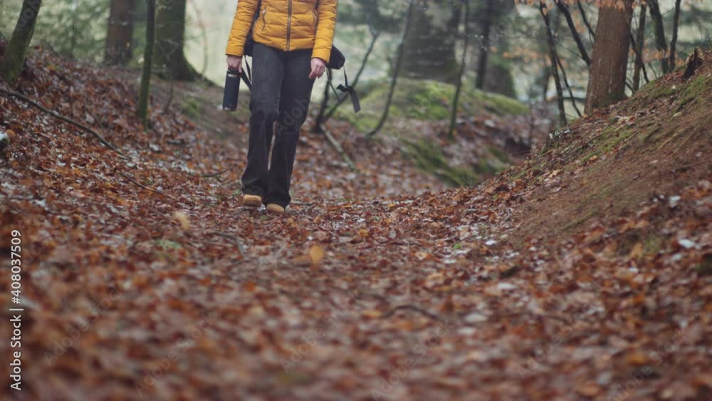 Teenage Girl Hiking Through Forest Leaves Teenage Girl Hiking Through Forest Leaves