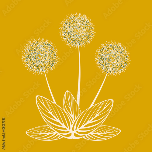 Decorative dandelion flowers light pink with striped leaves on a yellow background. Template for printing on pillows  covers  T-shirts  covers. Vector illustration.