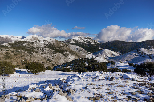 snowfall in the Sierra de las Nieves national park in Malaga. Spain
