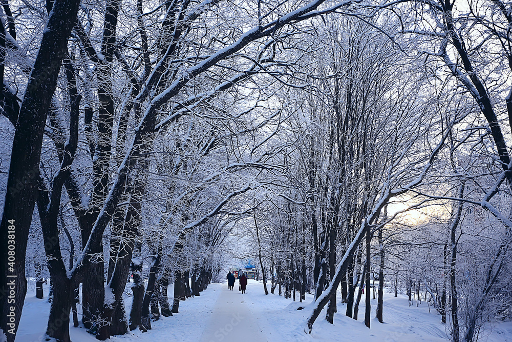winter landscape in the forest / snowy weather in January, beautiful landscape in the snowy forest, a trip to the north winter landscape in the forest / snowy weather in January, beautiful landscape in the snowy forest, a trip to the north