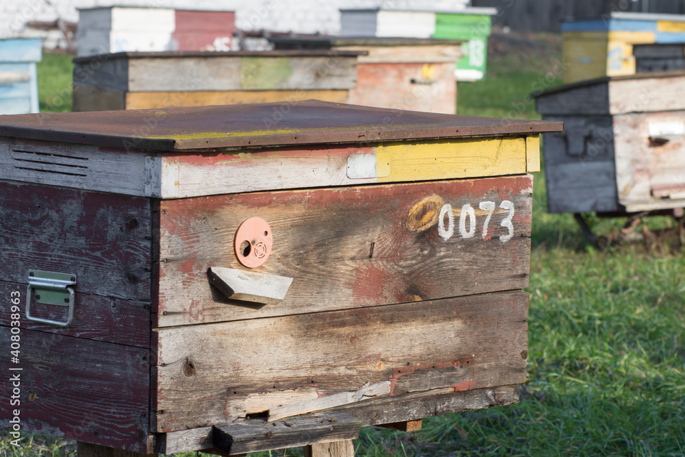 Old bee hives in the apiary in the spring. Old bee hives in the apiary in the spring.