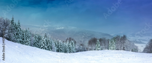 panorama of snowy mountain slope with Christmas trees on a background of mountains and blue sky