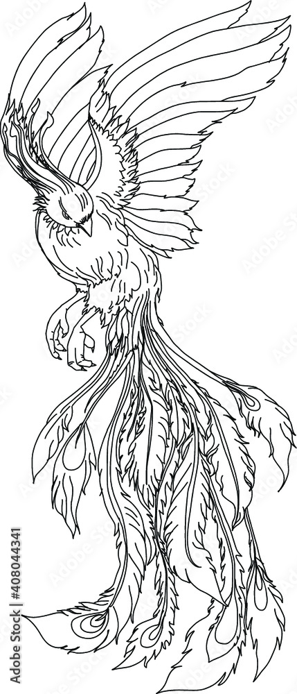Dancing Crane Japanese Red Crowned Bird Stock Vector Royalty Free  1657957276  Shutterstock