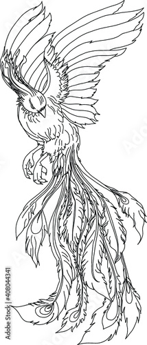 Peacock Tattoo  meaning photos sketches and examples