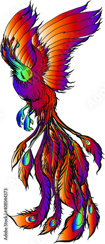 Japanese peacock tattoo.Asian Phoenix fire bird tattoo design.Colorful Phoenix fire bird colouring book illustration.Hand drawn Japanese tattoo style.