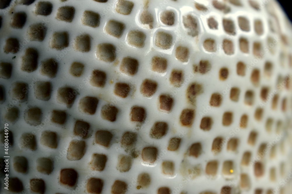 pattern on the dirty ceramic surface of the jug pattern on the dirty ceramic surface of the jug