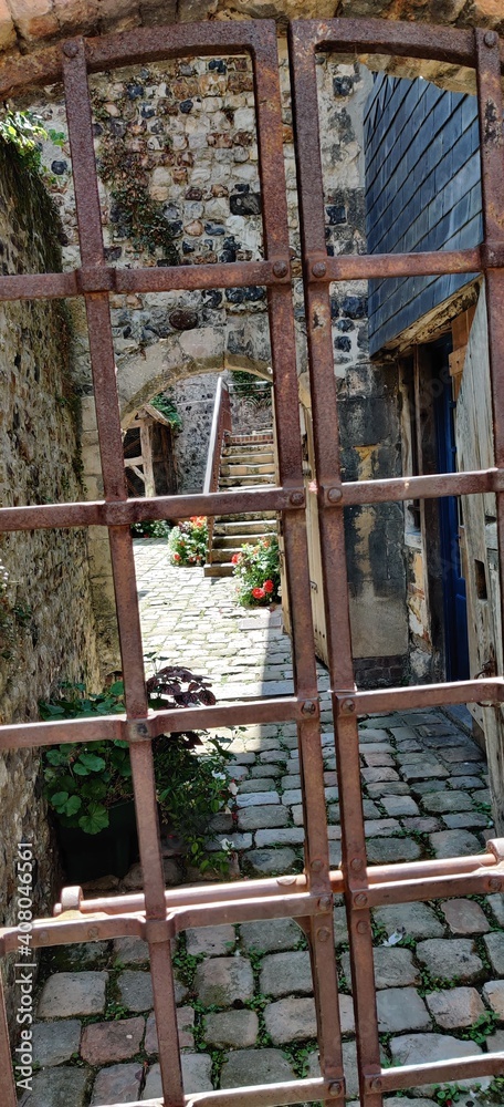 Cosy alley Cosy alley