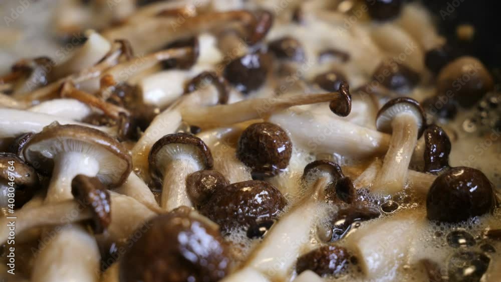 Brown Shimeji mushroom, close up Brown Shimeji mushroom, close up