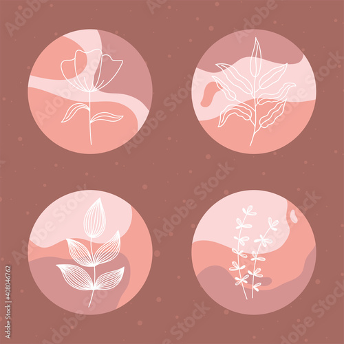 highlight cover floral botanical abstract tones color brown