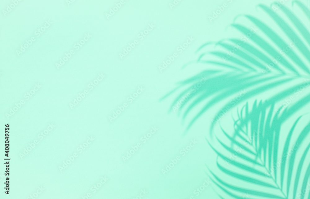Fototapeta premium Shadow of tropical palm tree leaf on green background, copyspace. Minimal summer concept
