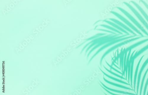 Shadow of tropical palm tree leaf on green background   copyspace. Minimal summer concept