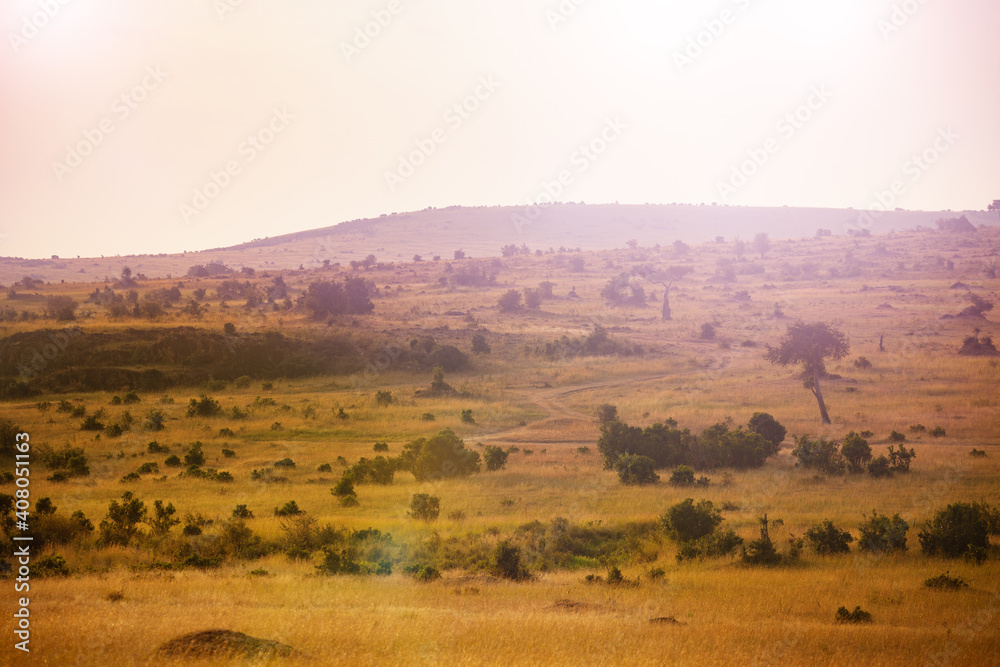 Obraz premium Savana landscape with hills in Kenyan Maasai Mara national park, Africa