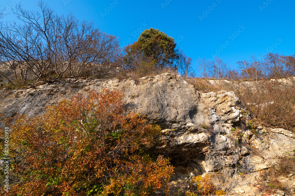 Autumn in the woods, immersed in magical yellow-orange foliage, green among the gray rocks. A beautiful branch of orange autumn leaves. Italian woods, Italy. Autumn in the woods, immersed in magical yellow-orange foliage, green among the gray rocks. A beautiful branch of orange autumn leaves. Italian woods, Italy.