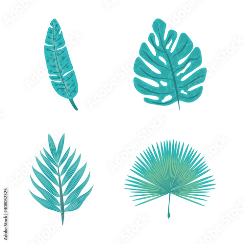 tropical palm leaf foliage nature flora icon set flat design